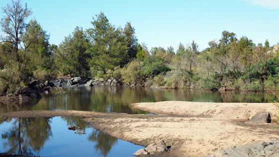 Pine Island
