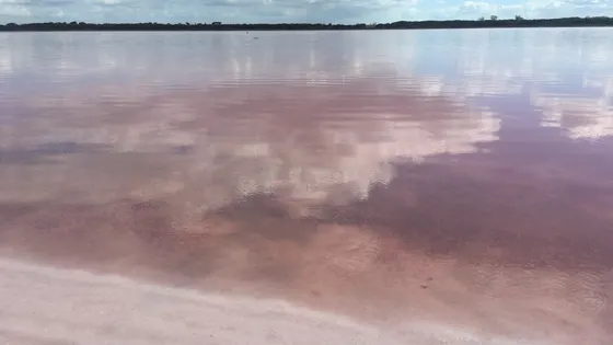 Pink Lake (Loch Iel)