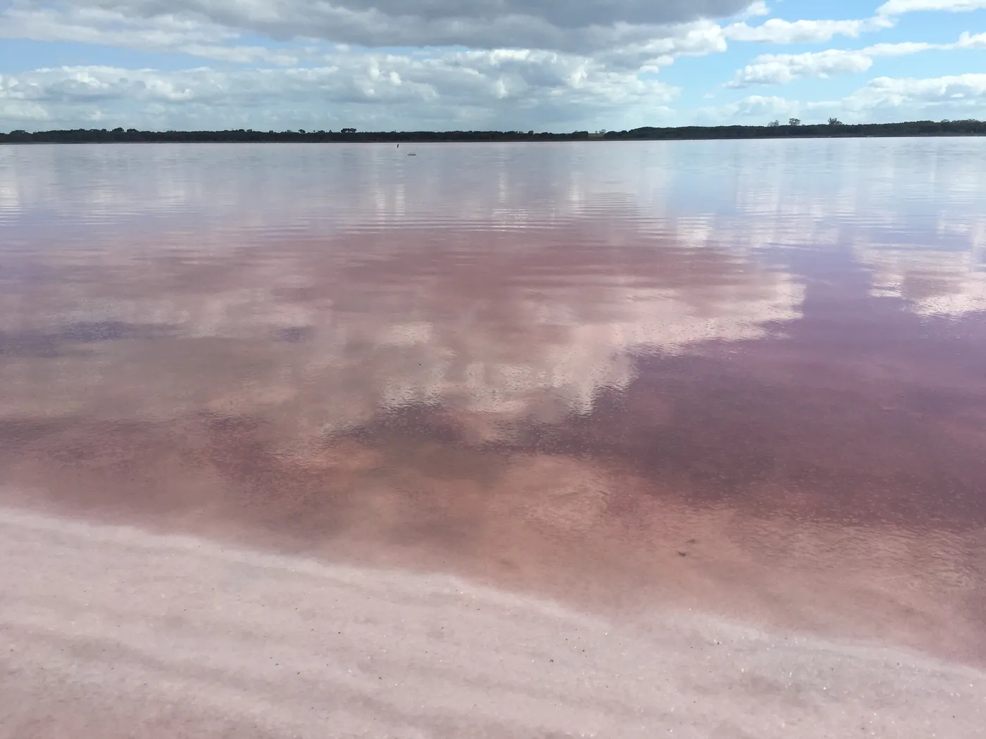 Pink Lake (Loch Iel)