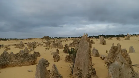 Pinnacles Desert