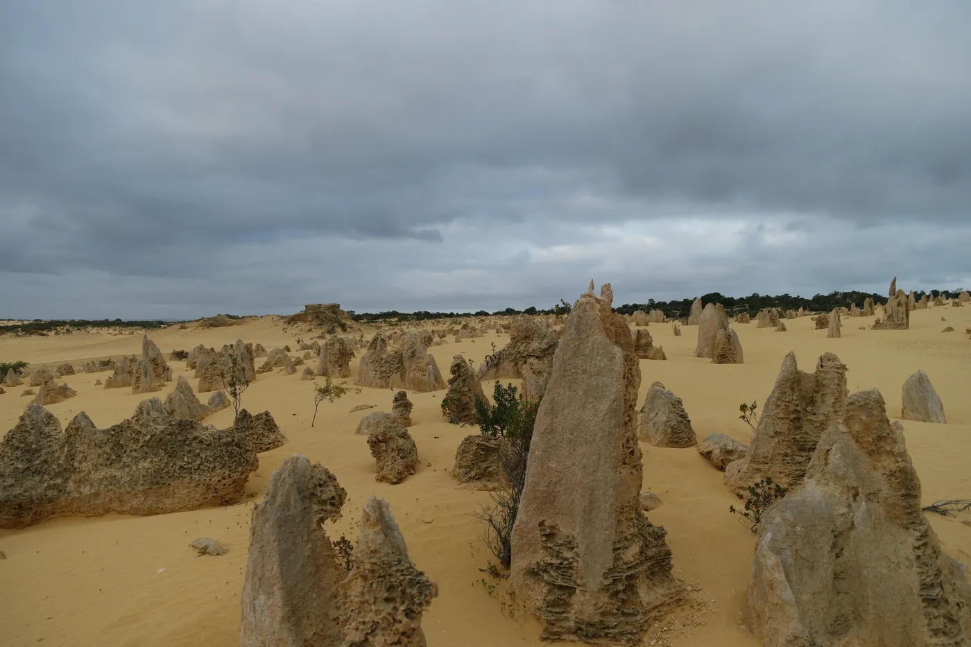 Pinnacles Desert