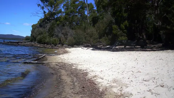 Platypus Bay Walk