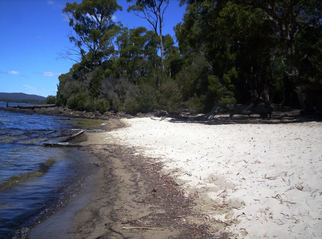 Platypus Bay Walk