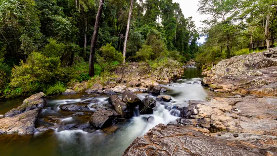 Platypus viewing platform