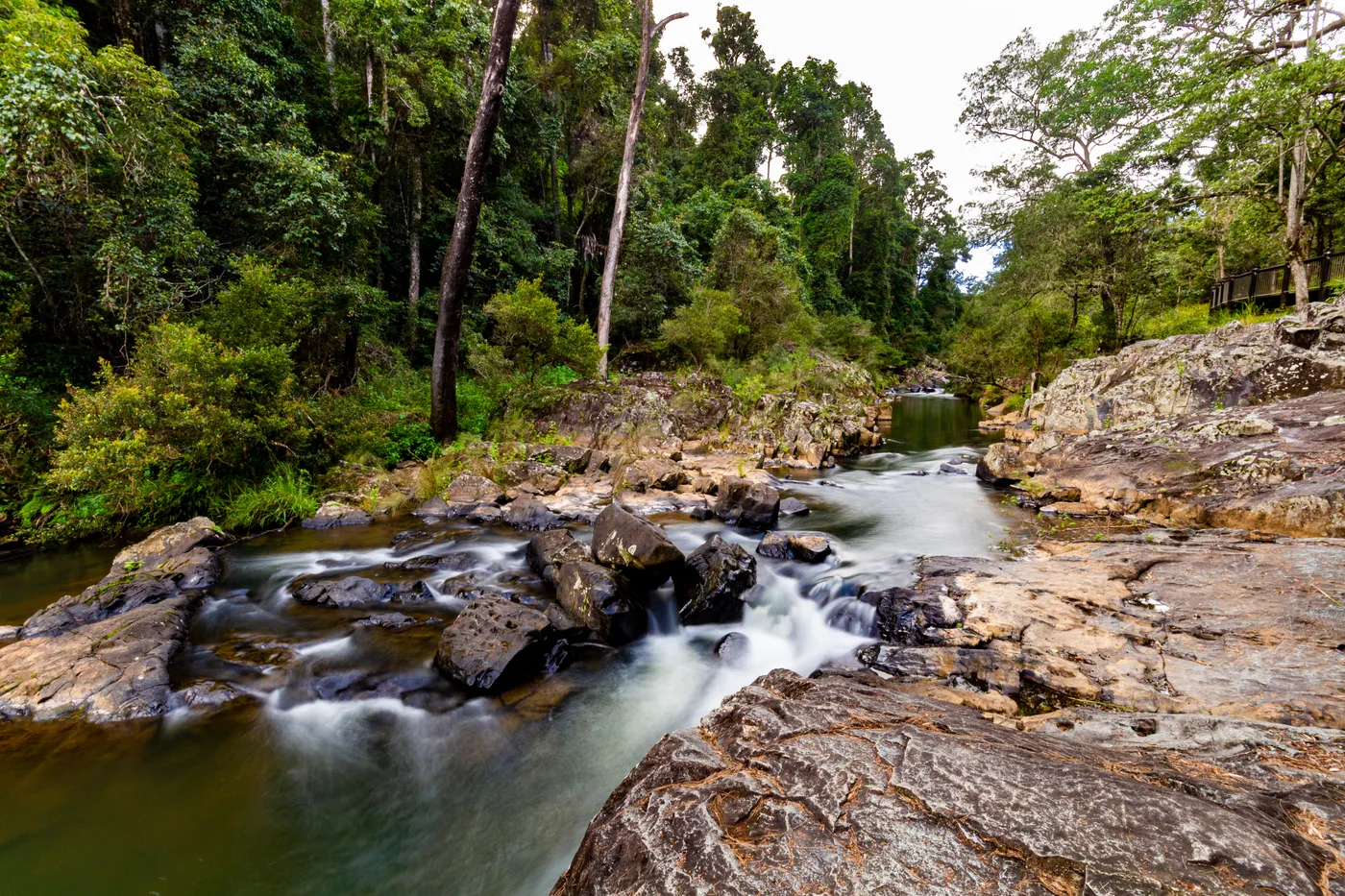Platypus viewing platform