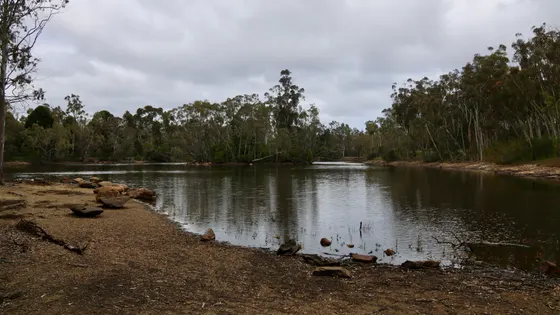 Playford Lake