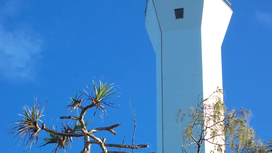 Point Cartwright