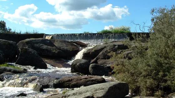 Polly McQuinns Weir
