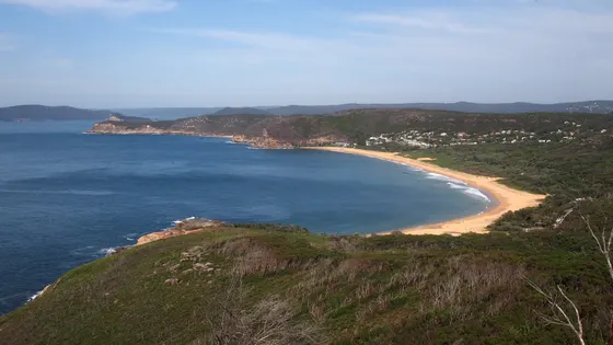Putty Beach
