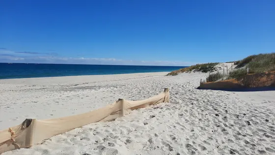 Quinns Beach