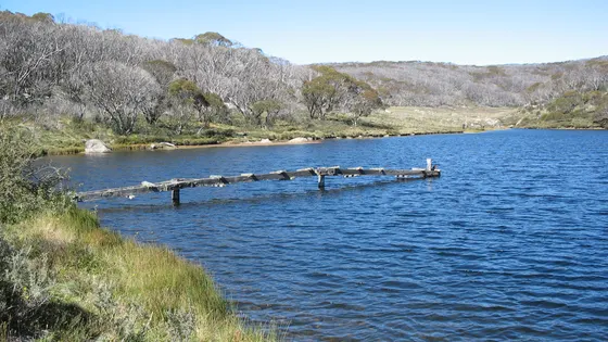 Rainbow Lake walking track