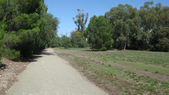 Rattler Trail