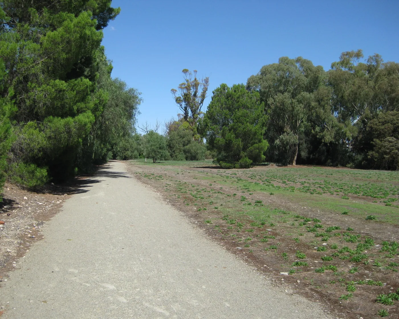Rattler Trail