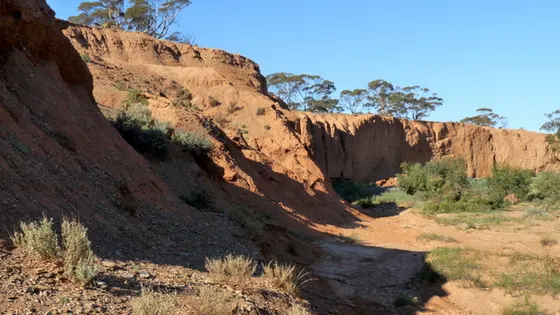Red Banks Conservation Park – Landscapes of Change Hike