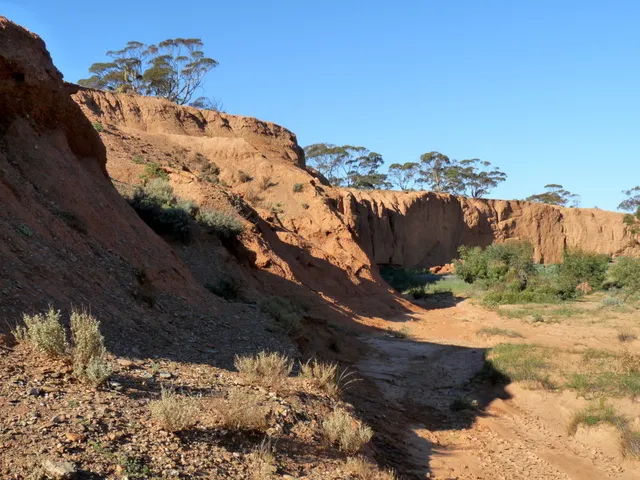 Red Banks Conservation Park – Landscapes of Change Hike