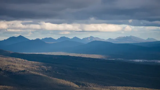 Reed Lookout