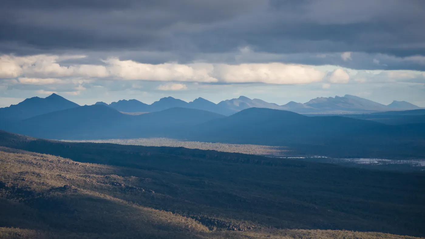 Reed Lookout