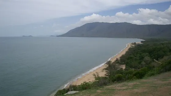 Rex Lookout