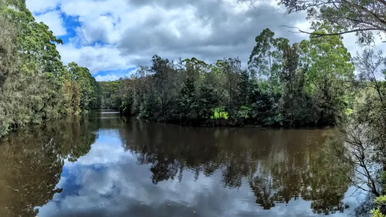 Riverside Walking Track