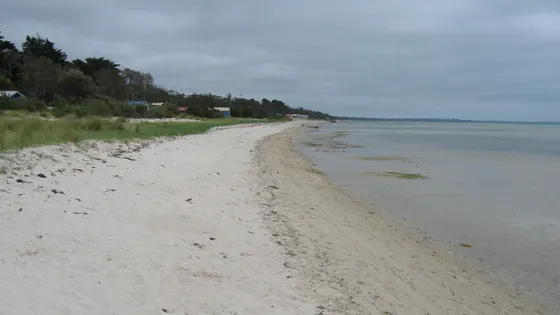 Rosebud Beach