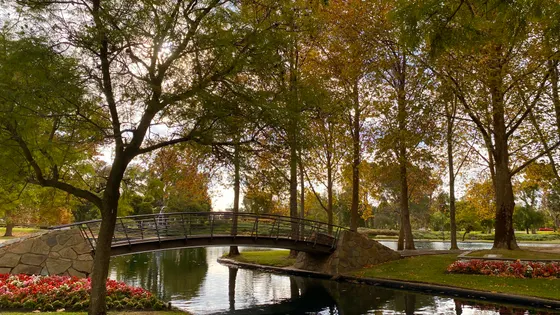 Rymill Park Lake
