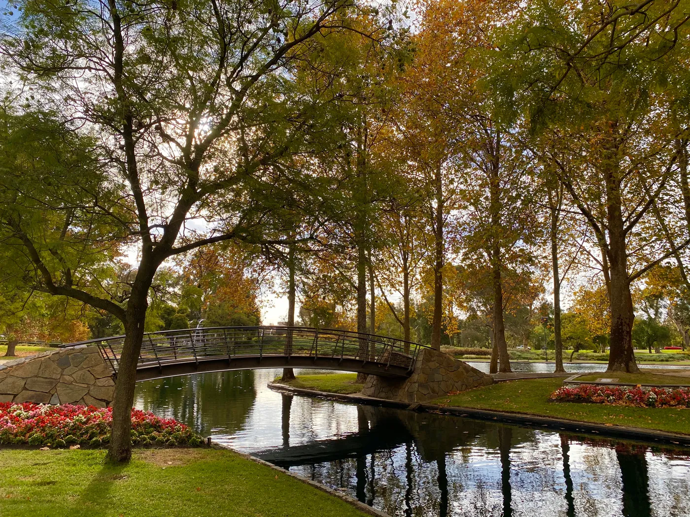 Rymill Park Lake