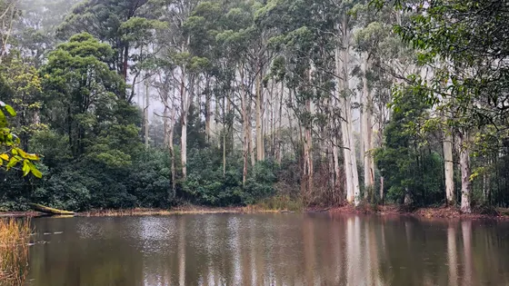 Sanatorium Lake