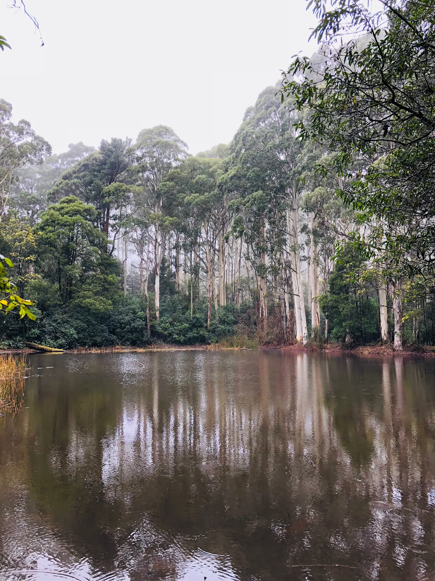 Sanatorium Lake