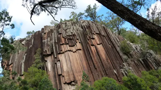 Sawn Rocks walking track