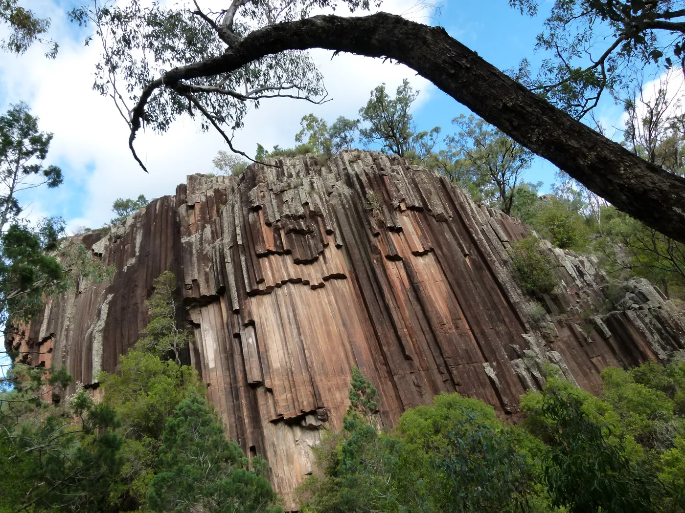 Sawn Rocks walking track