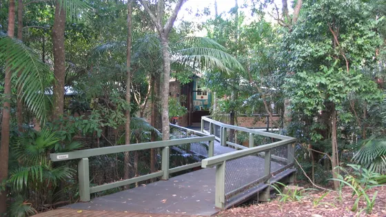 Sea Acres Rainforest boardwalk