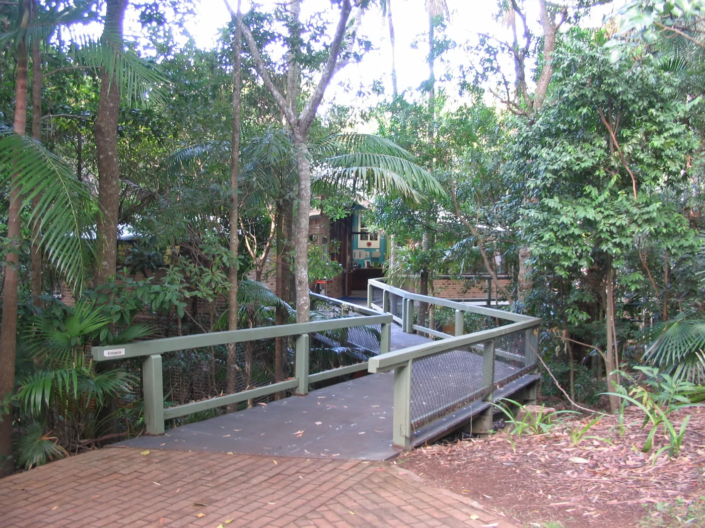 Sea Acres Rainforest boardwalk