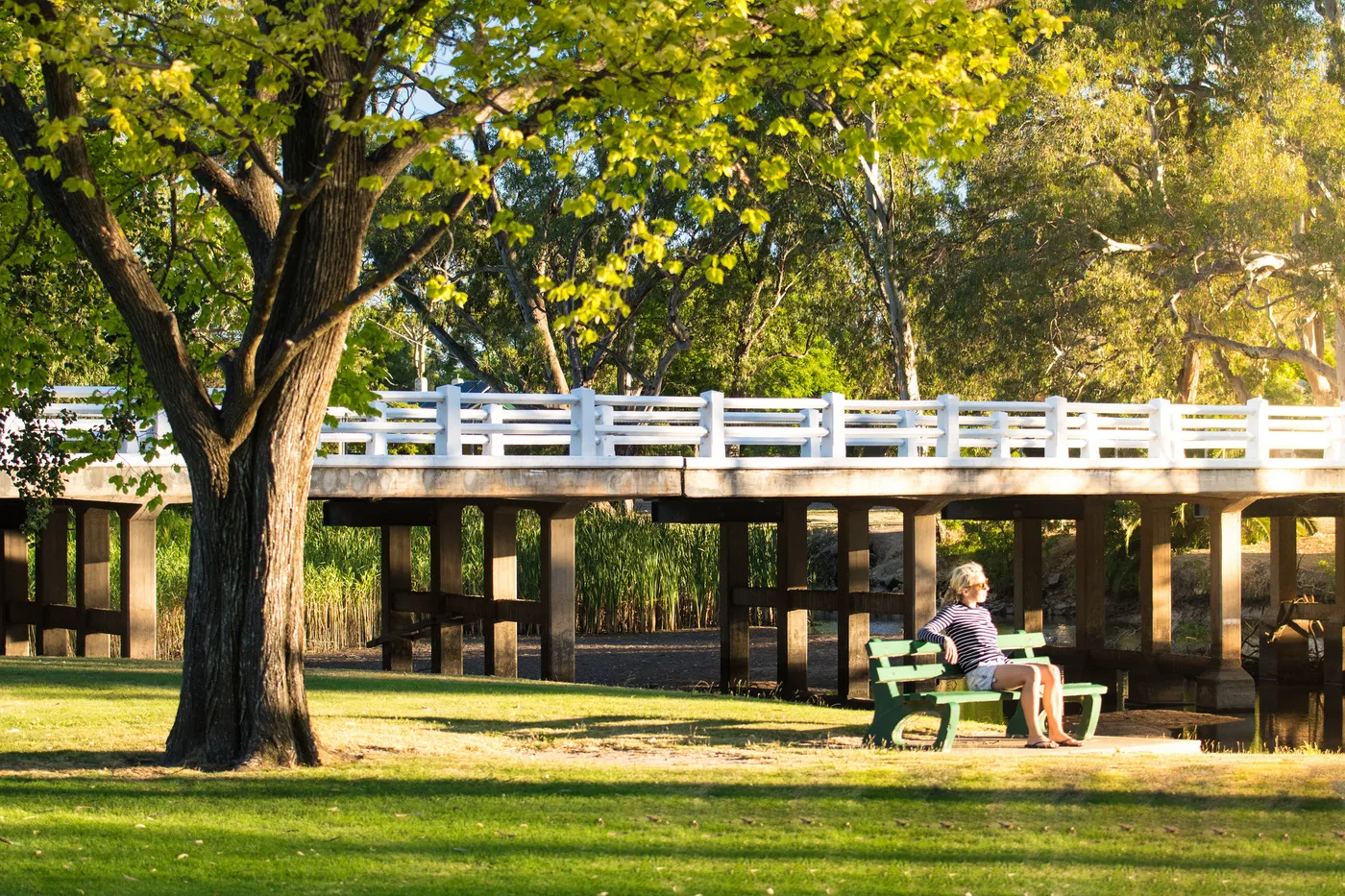 Seven Creeks Park
