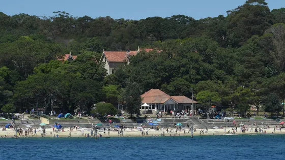 Shark Beach