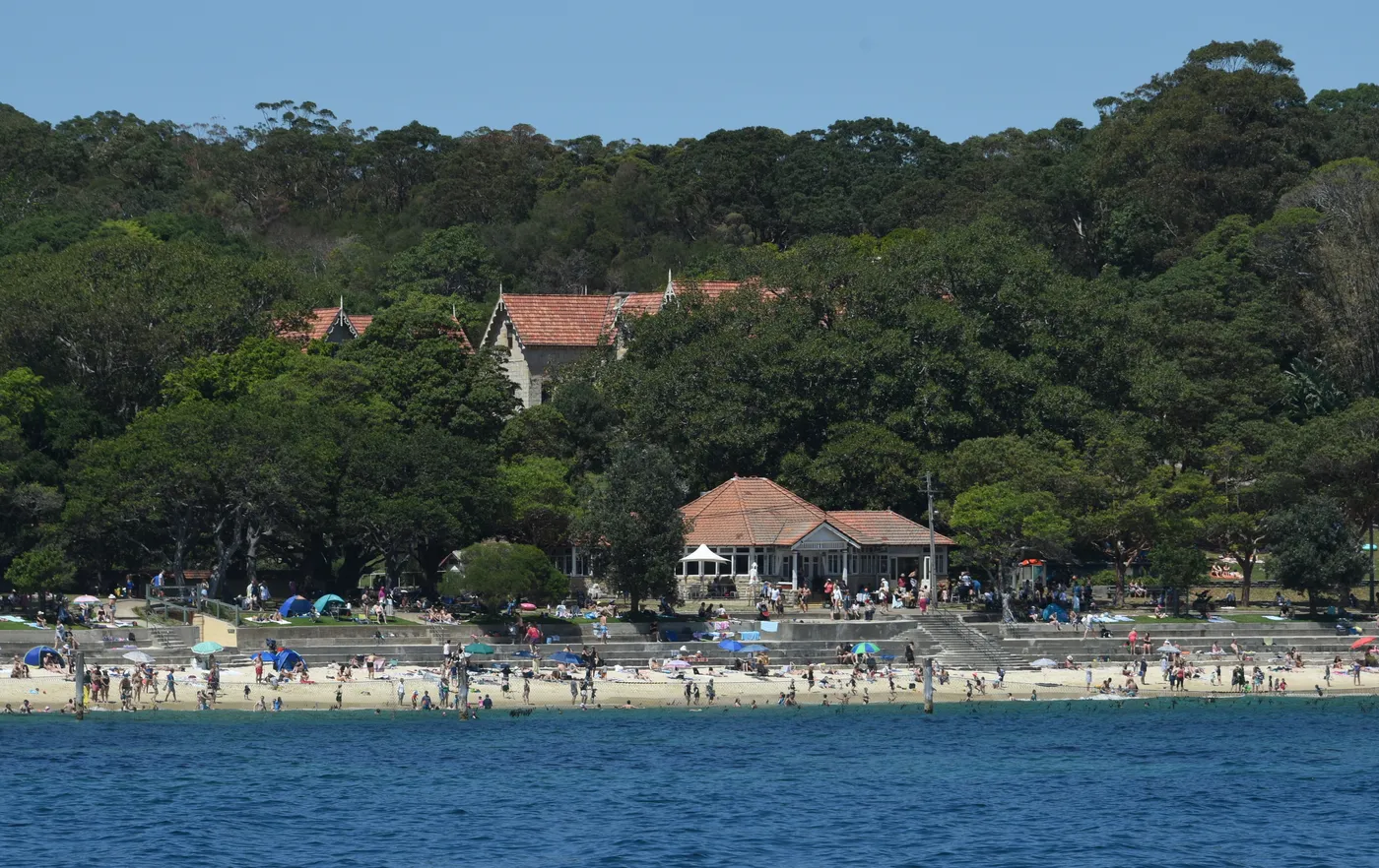 Shark Beach