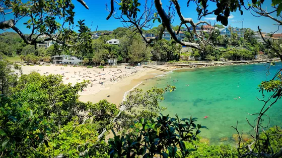 Shelly Beach