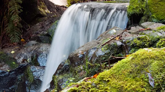 Sherbrooke Falls