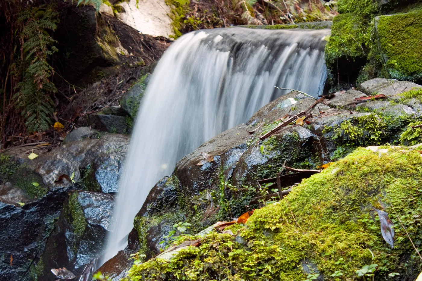Sherbrooke Falls