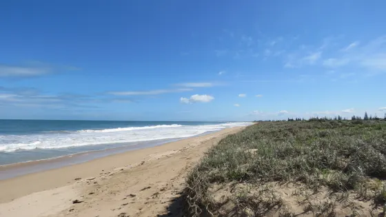 Singleton Beach