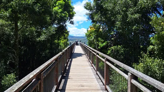 Skywalk lookout
