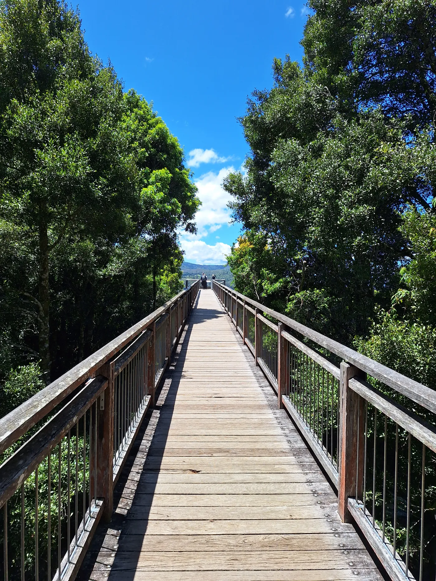 Skywalk lookout