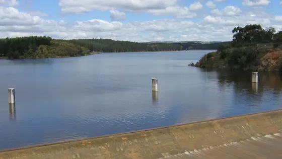 South Para Reservoir Reserve