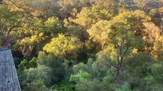Springwood Conservation Park
