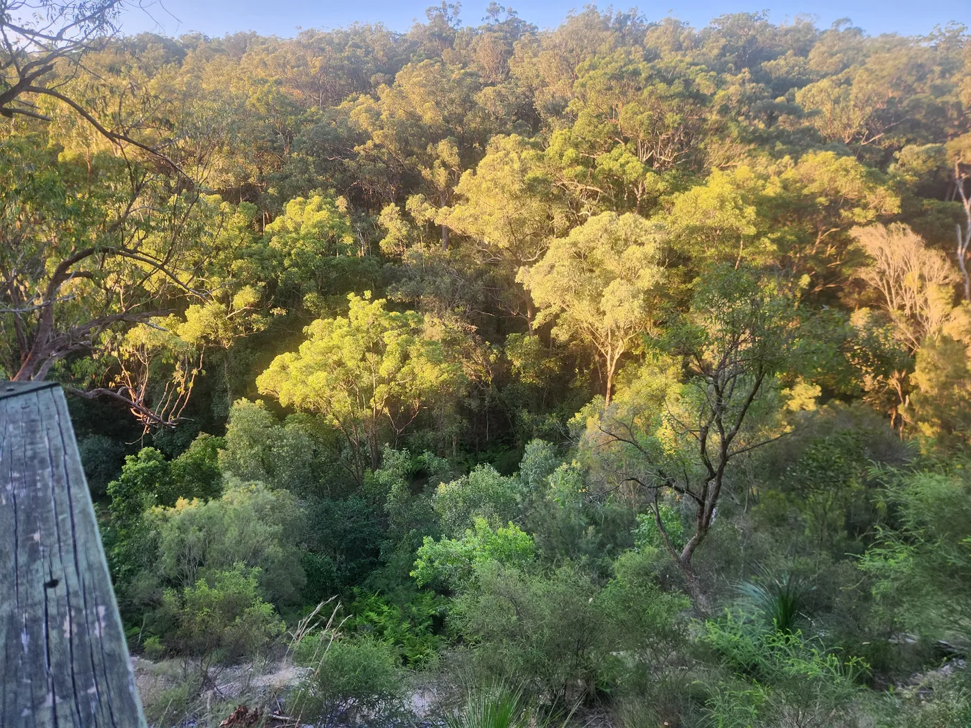 Springwood Conservation Park