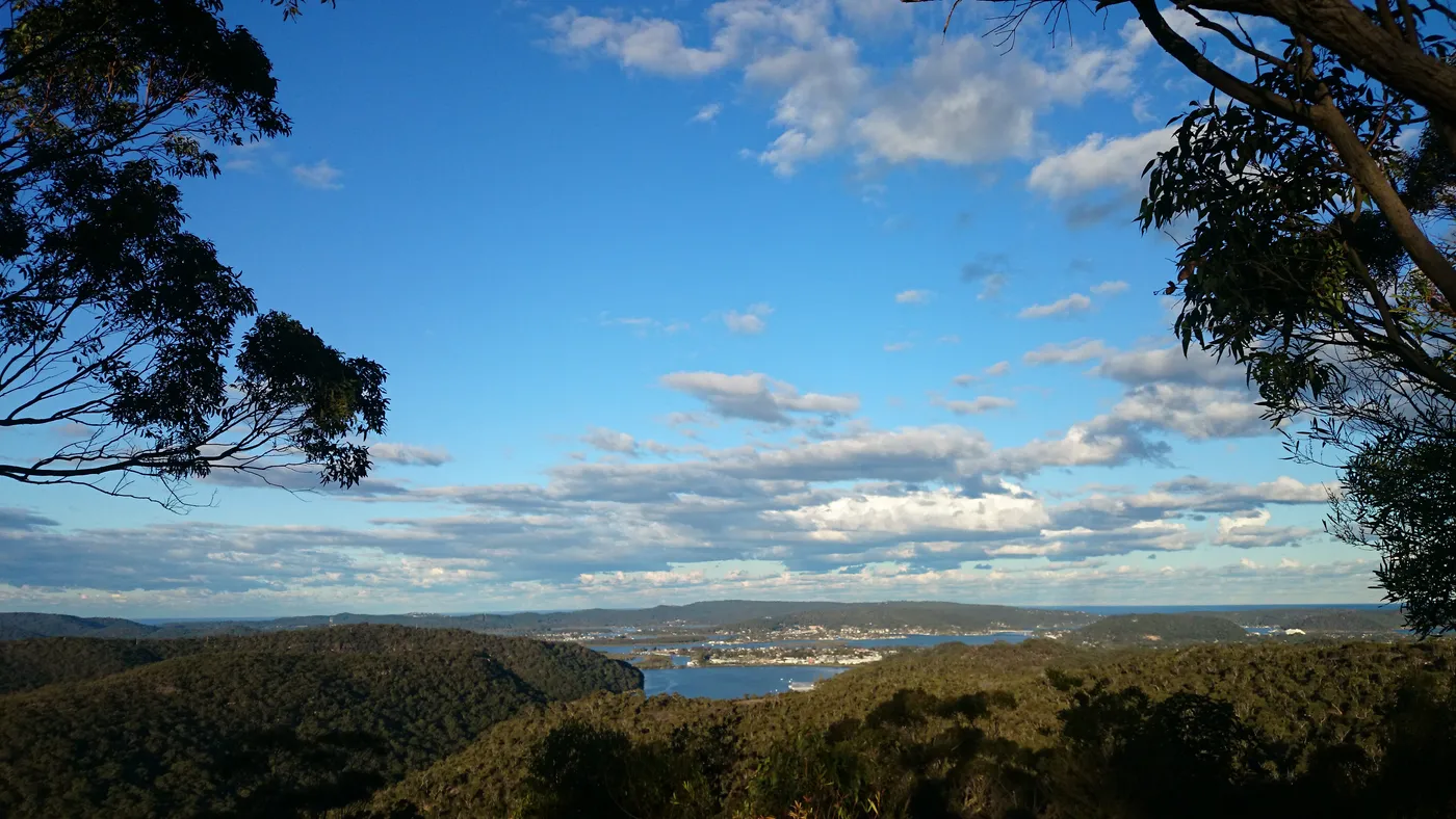 Staples Lookout