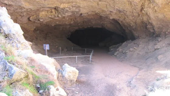 Stockyard Gully Cave