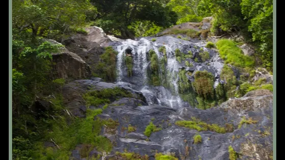 Stoney Creek Falls