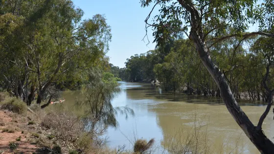 Swan Hill River Walk