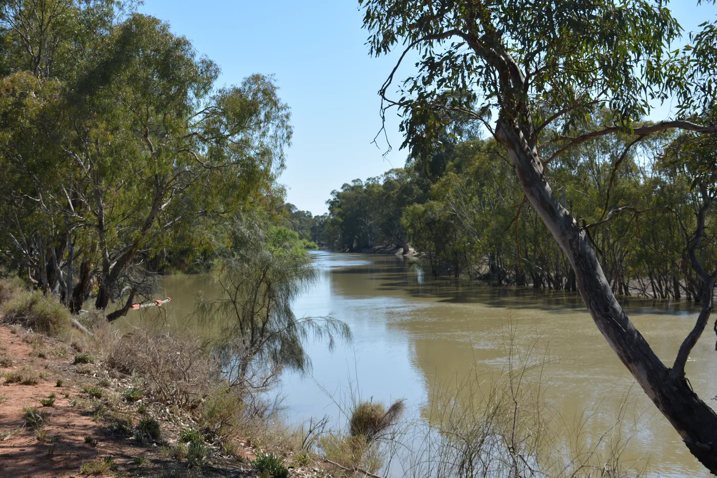 Swan Hill River Walk