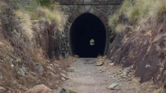 Swan View Tunnel